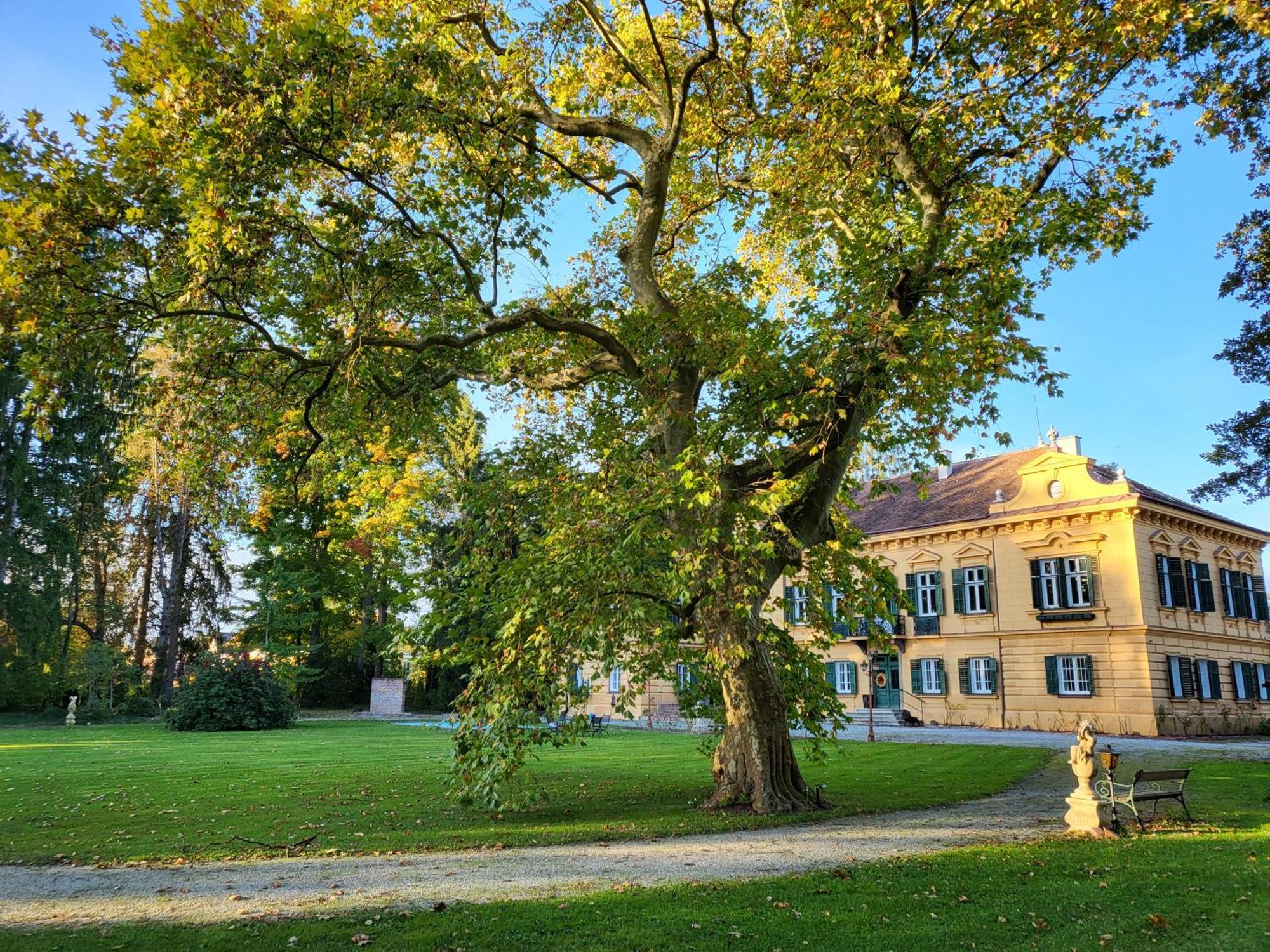 Palais Kneissl Frühstückspension *